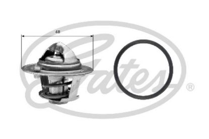TERMOSTAT 82C FOCUS CMAX YM resmi