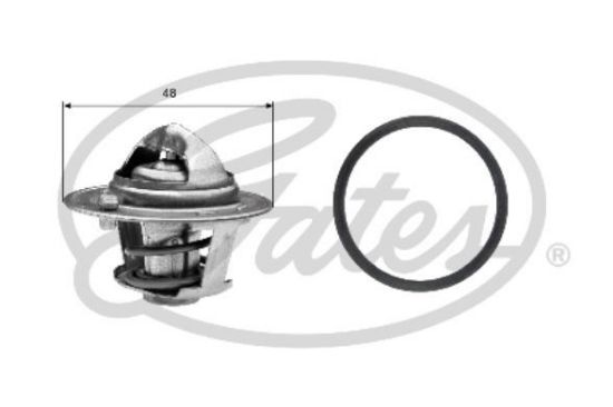 TERMOSTAT 82C FOCUS CMAX YM resmi