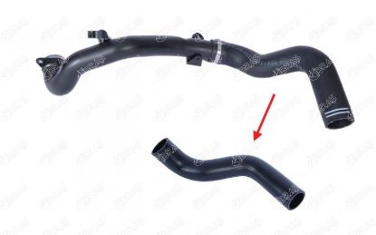 TURBO HORTUMU(PLASTİK BORU HARİÇ)   PUNTO EVO-GRANDE PUNTO  1.3 JTD. resmi
