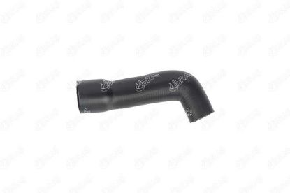 BY PASS HORTUMU OPEL VECTRA C resmi