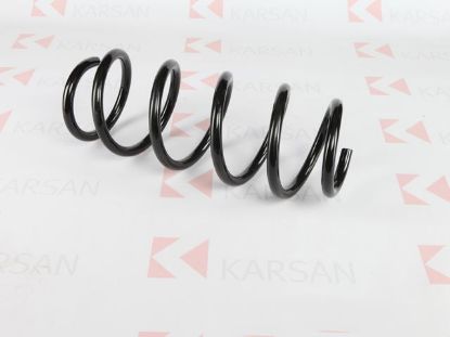 YAY ARKA SÜSPANSİYON ( HELEZON ) JEST resmi
