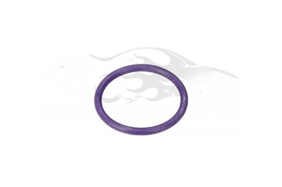 TOROİDAL CONTA O-RING - C4 X (C43) resmi