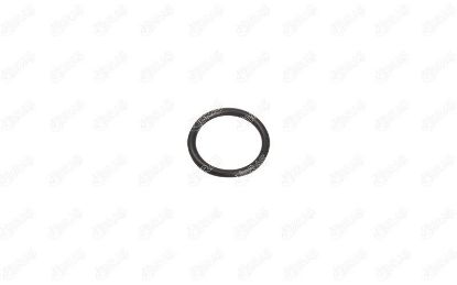 SU POMPA BORUSU CONTASI C4 DS4 JUMPER JUMPY C-MAX FOCUS KUGA VIVARO 308 407 508 BOXER  2.0Blue resmi
