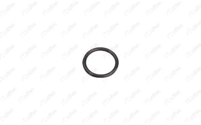 SU POMPA BORUSU CONTASI C4 DS4 JUMPER JUMPY C-MAX FOCUS KUGA VIVARO 308 407 508 BOXER 2.0Blue resmi