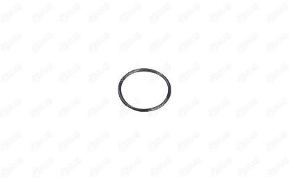 SU BORUSU CONTASI BERLİN. C2-3-4 SAXO XSARA 106 206 207 208 301 307 308 PARTNER 1.4-1.5-1.6 87-21 resmi