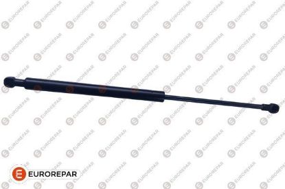 ERP BAGAJ KAPAK AMORTİSÖRÜ RCZ resmi