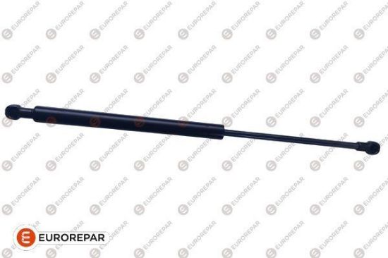 ERP BAGAJ KAPAK AMORTİSÖRÜ RCZ resmi