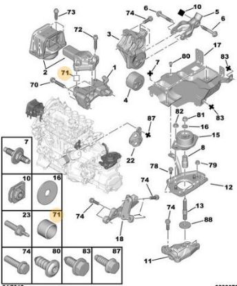 MOTOR KULAK BURCU resmi