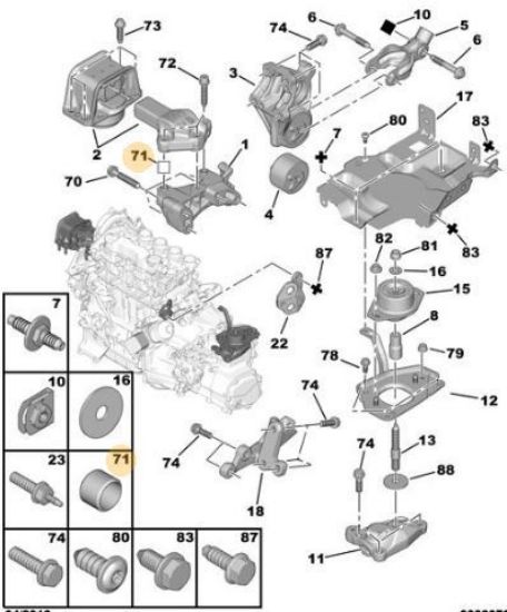 MOTOR KULAK BURCU resmi