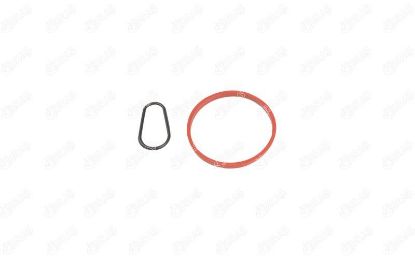 VAKUM POMPA CONTASI BERLINGO C-ELYSEE C3 C4 FIESTA V-VI FOCUS III-IV-V CONNECT V60 1.5-1.6 resmi