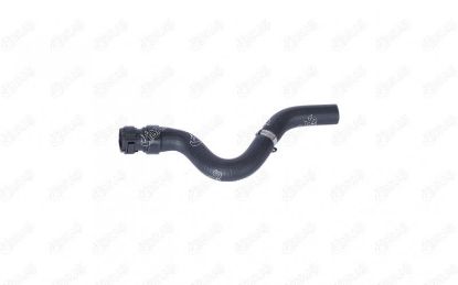 RADYATÖR ÜST HORTUMU KANGOO/CLIO II 1.2/8200043779 resmi