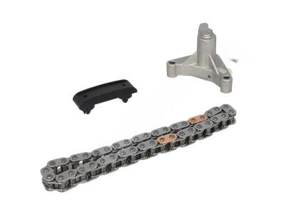 EKSANTRİK MİL ZİNCİRİ KİTİ   307-308-407-EXPERT III-SCUDO-MONDEO-KUGA  2.0HDI/DW10ATED  04-10 resmi