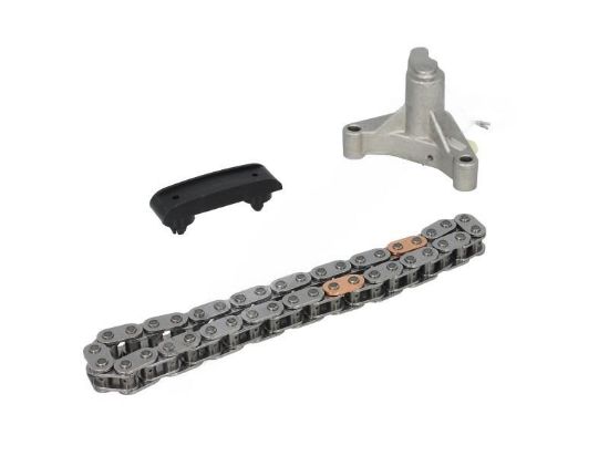 EKSANTRİK MİL ZİNCİRİ KİTİ   307-308-407-EXPERT III-SCUDO-MONDEO-KUGA  2.0HDI/DW10ATED  04-10 resmi