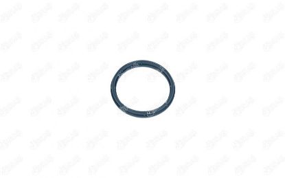 EMME MANİFOLD CONTASI BOXER JUMPER DUCATO-TRANSIT 2.0 TDCI/2.2 HDI/2.4 resmi