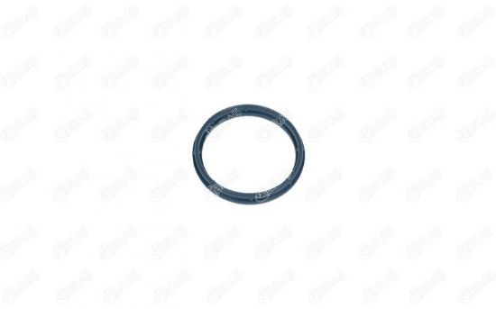 EMME MANİFOLD CONTASI BOXER JUMPER DUCATO-TRANSIT 2.0 TDCI/2.2 HDI/2.4 resmi
