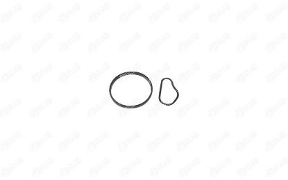 VAKUM POMPA CONTASI C2 C3 JUMPY SCUDO FOCUS II 206 307 308I 407 EXPERT C30 1.6 HDI 03-16 resmi