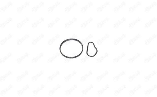 VAKUM POMPA CONTASI C2 C3 JUMPY SCUDO FOCUS II 206 307 308I 407 EXPERT C30 1.6 HDI 03-16 resmi