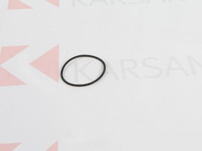 TERMOSTAT ORİNGİ/LASTİĞİ    J10 resmi