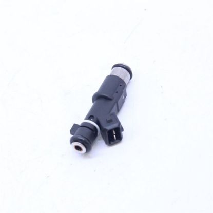 ENJEKTÖR   206-307-308-406-407-C4-C5 X7-XSARA  2.0 /EW10J4 resmi