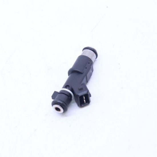 ENJEKTÖR   206-307-308-406-407-C4-C5 X7-XSARA  2.0 /EW10J4 resmi
