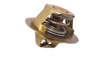 TERMOSTAT 89C 50mm MEGANE-CLIO-KANGOO 1.4/1.6 16V resmi