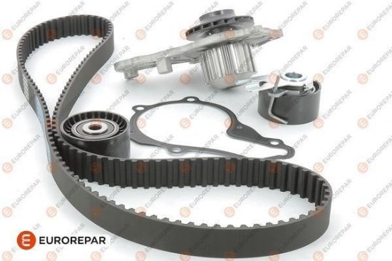 ERP SU POMPASI + TRİGER KİTİ E118431+SU POMPASI DW6TED resmi
