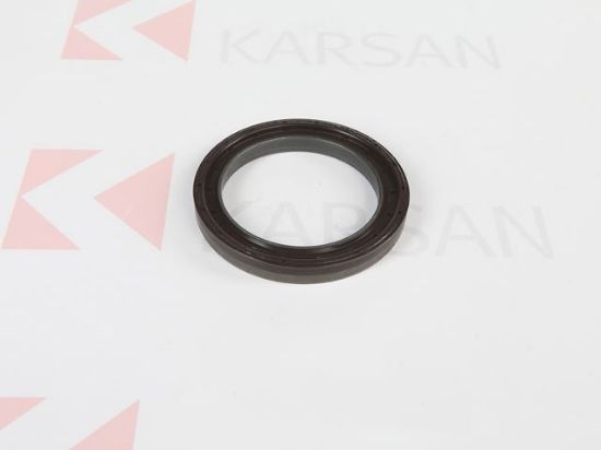 KRANK ARKA KEÇESİ  J10 resmi