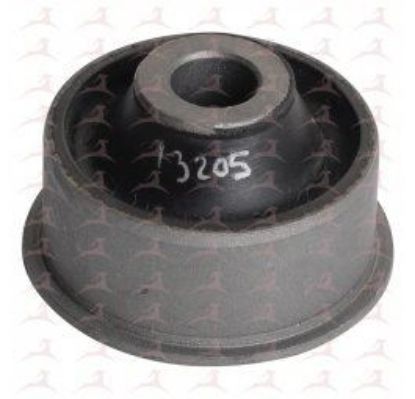 SALINCAK BURCU (ARKA) – 206 resmi