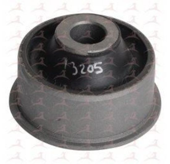 SALINCAK BURCU (ARKA) – 206 resmi
