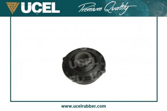 ARKA SALINCAK BURCU  C2-C3-1007 resmi