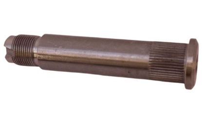 AKS PİMİ   106 resmi