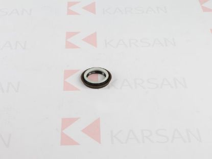 AKS KEÇESİ SOL     JEST resmi