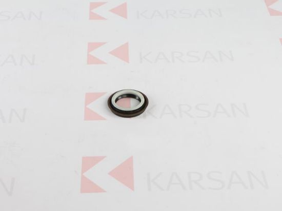 AKS KEÇESİ SOL     JEST resmi