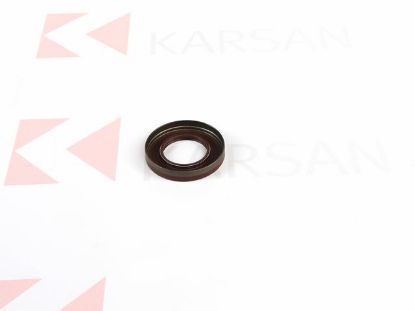 KEÇE, YAĞ EKSANTRİK MİLİ  J10 resmi