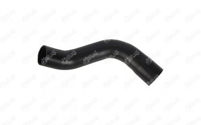 TURBO HORTUMU  806-EXPERT 2.0HDI/0382.Q1/İBRAŞ resmi