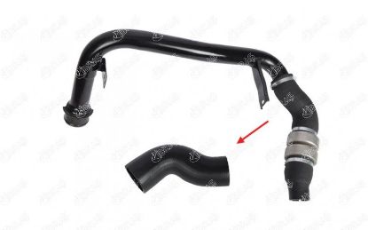 TURBO HORTUMU Büyük     BOXER-JUMPER 2.2HDI 07-> resmi