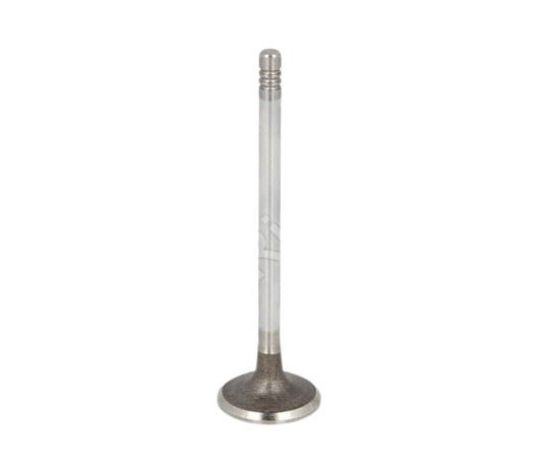 EMME SUBAP DW10FUC resmi