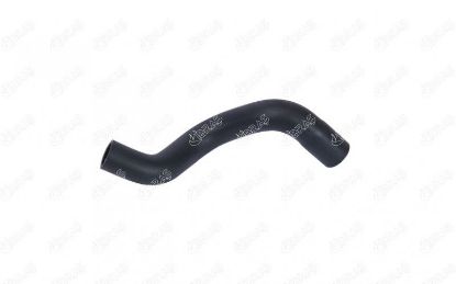 RADYATÖR ALT HORTUMU LINEA 1.3 MJT/51805813/İBRAŞ/ resmi