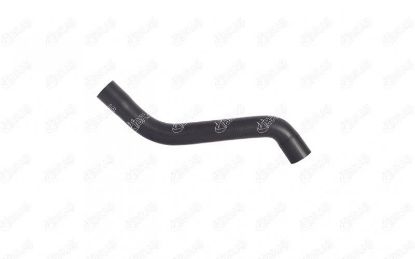 RADYATÖR ÜST HORTUMU TEMPRA/TİPO 1.4 1.6 KARB./761 resmi