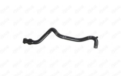 KALORİFER GİRİŞ HORTUMU CLIO SYMBOL 1.4 8V K7 resmi