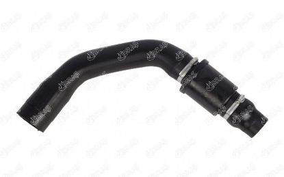 INTERCOOLER HORTUMU  TRANSİT V 348 2.2 TDCI./CC116 resmi