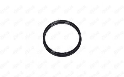 DEPO ŞAMANDIRA CONTASI FOCUS-FIESTA V/VI 1.4/1.6 T resmi