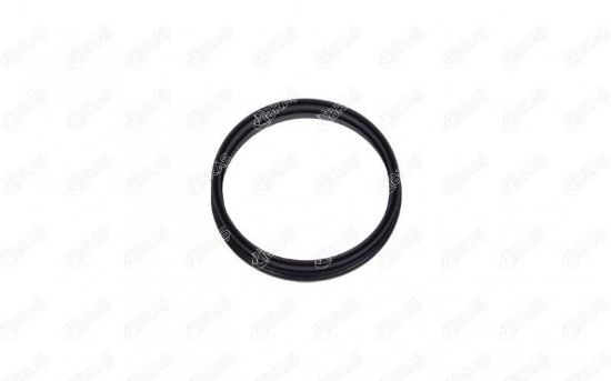 DEPO ŞAMANDIRA CONTASI FOCUS-FIESTA V/VI 1.4/1.6 T resmi