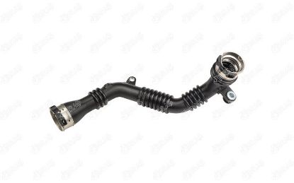 TURBO BORUSU resmi