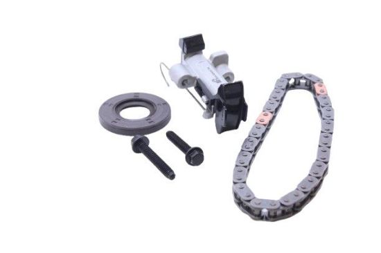 EKSANTİRİK ZİNCİRİ+GERGİ+KEÇESİ 8mm resmi