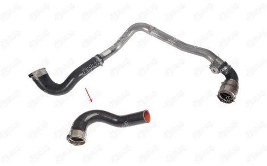 TURBO HORTUMU METAL BORU HARİÇ   MASTER III-MOVANO B    2.3 CDTI-DCI resmi