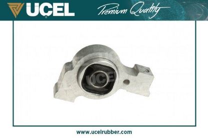 SALINCAK BURCU  407-C5-C6 resmi