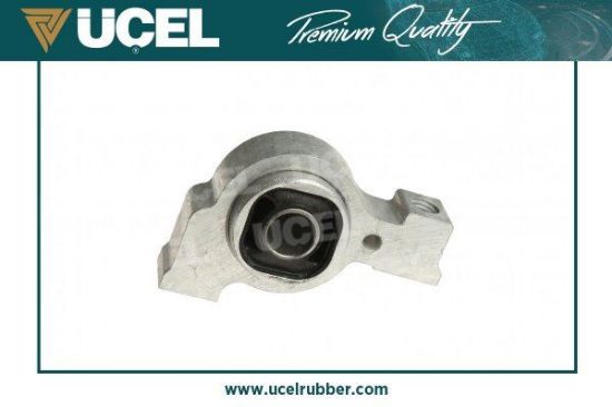 SALINCAK BURCU  407-C5-C6 resmi