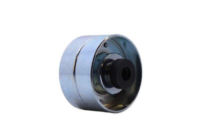 EKSANTRİK GERGİ RULMANI 206-306-406-PRT DW8-DW10-D resmi