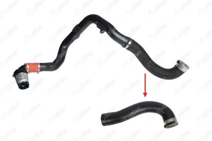TURBO HORTUMU MASTER III 2.3 DCI MOVANO B 2.3 CD resmi